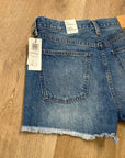 Aritzia Denim Forum 100% Cotton Denim The Ex - Boyfriend High Rise Short