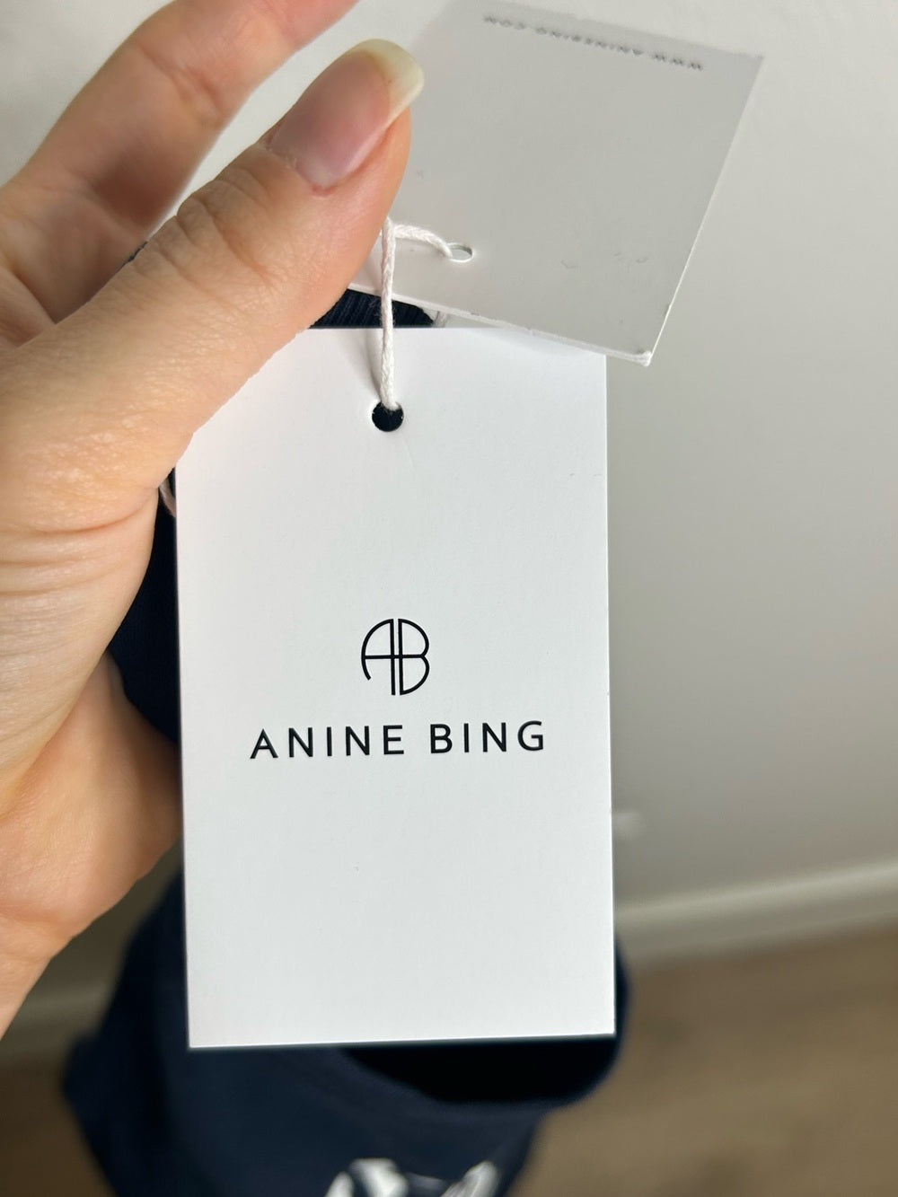 Anine Bing 100% Cotton Jaylin Collegiate Tee In Navy Blue