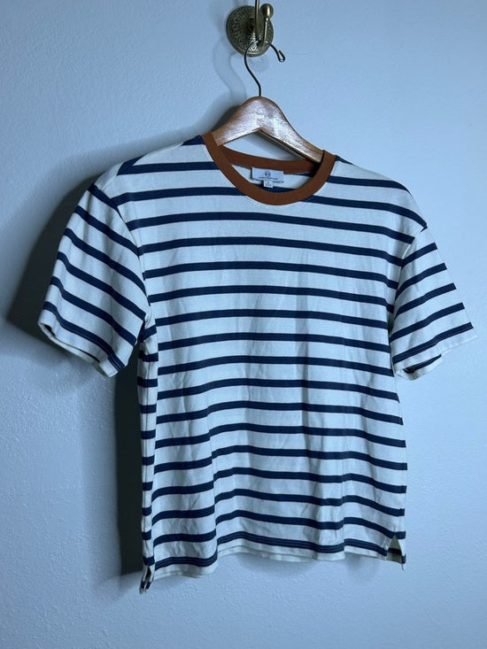 AG 100% Cotton Blue Striped Two Tone T - Shirt