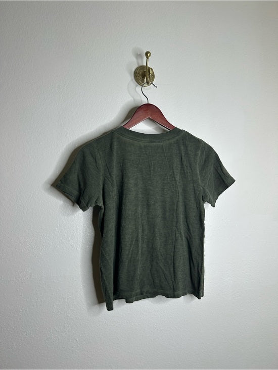 Eileen Fisher 100% Organic Cotton Green V - Neck T - Shirt Short Sleeve