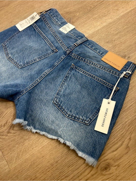 Aritzia Denim Forum 100% Cotton Denim The Ex - Boyfriend High Rise Short