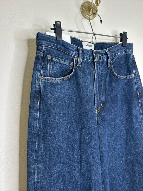 AGOLDE 100% Regenerative Cotton Low Curve Jean in Pendulum Dark Wash