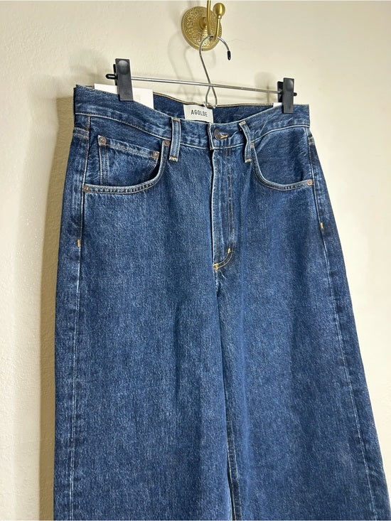 AGOLDE 100% Regenerative Cotton Low Curve Jean in Pendulum Dark Wash