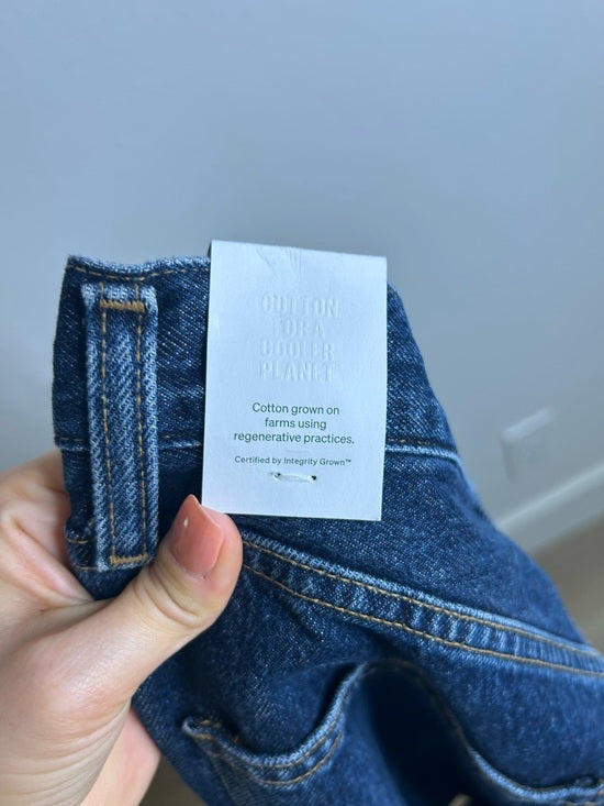 AGOLDE 100% Regenerative Cotton Low Curve Jean in Pendulum Dark Wash